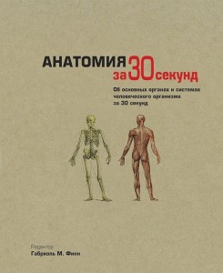 anatomia